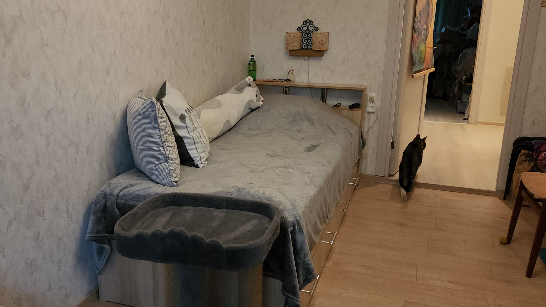 переселенец из аварийного жилья, новая квартира, щёлково, аварийное жилье,