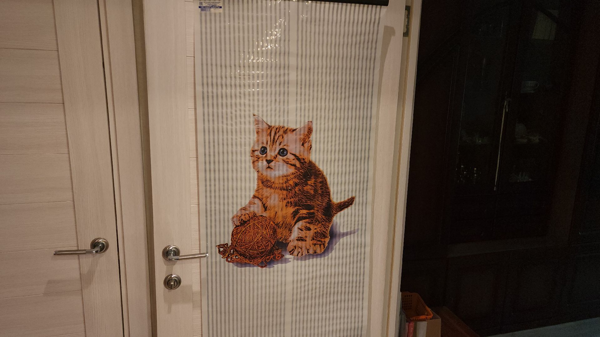 переселенец из аварийного жилья, новая квартира, щёлково, аварийное жилье,