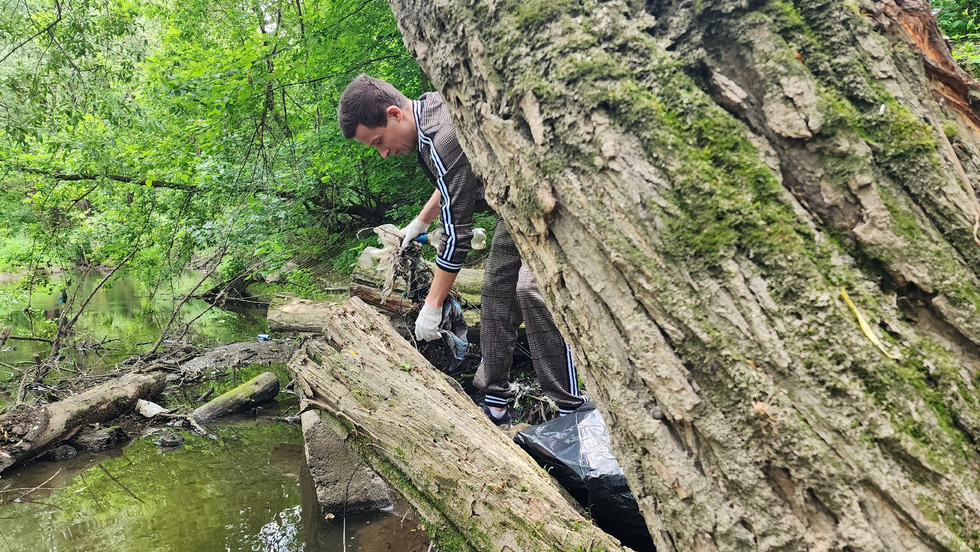 экология, домодедово, берег реки, очистка водоема, очистка берега,волонтеры, волонтеры подмосковья,