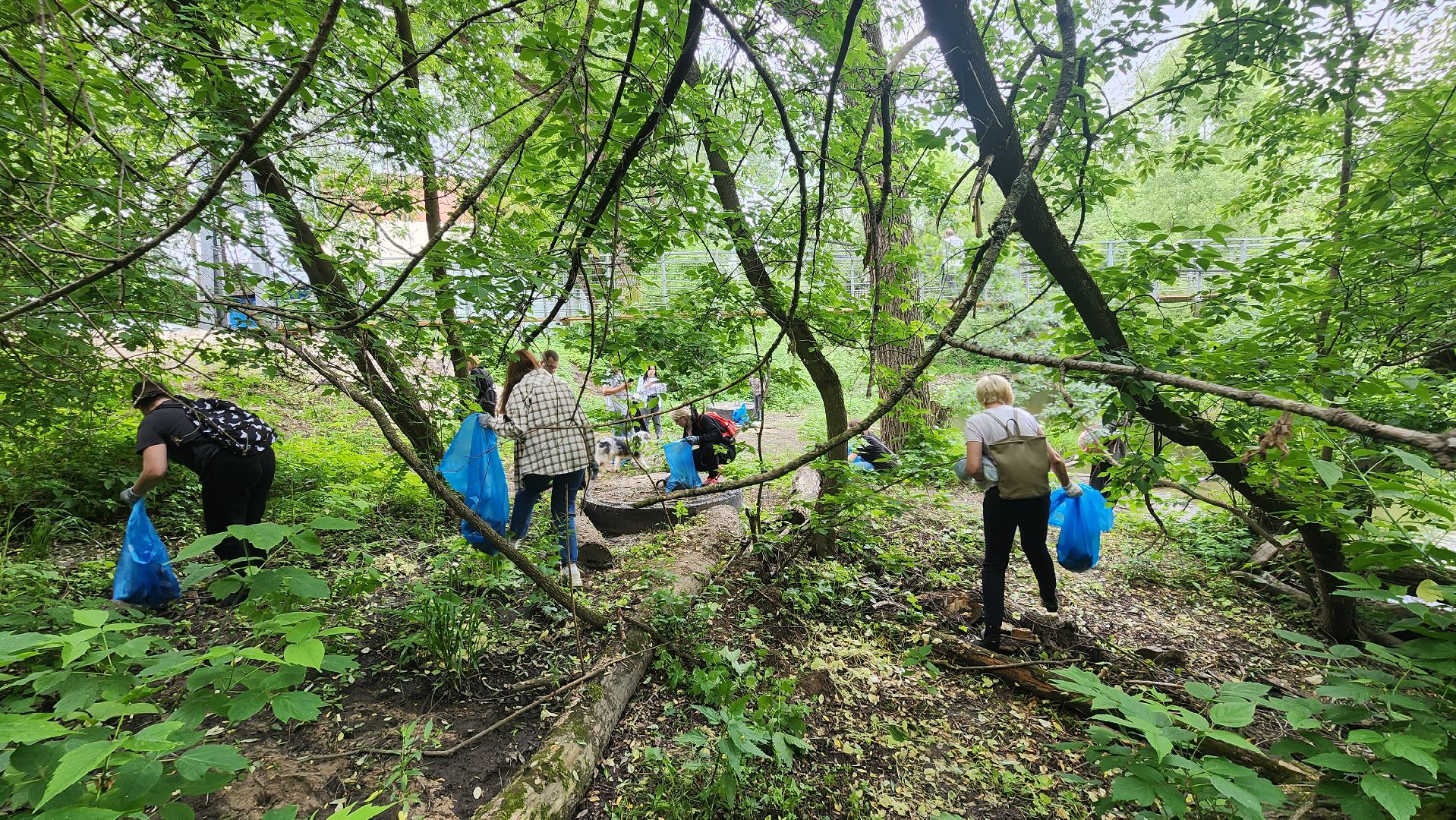 экология, домодедово, берег реки, очистка водоема, очистка берега,волонтеры, волонтеры подмосковья,