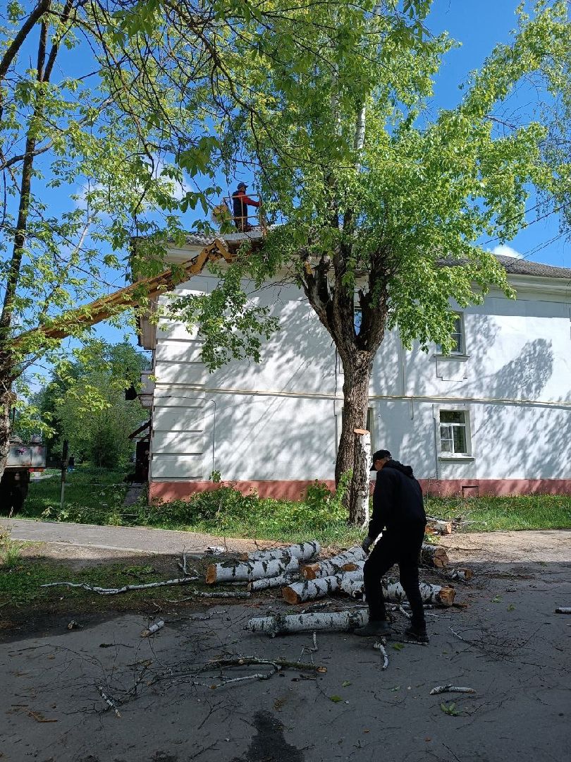 благоустройство 2025, клумба, шатура, мбу сдх шатура,