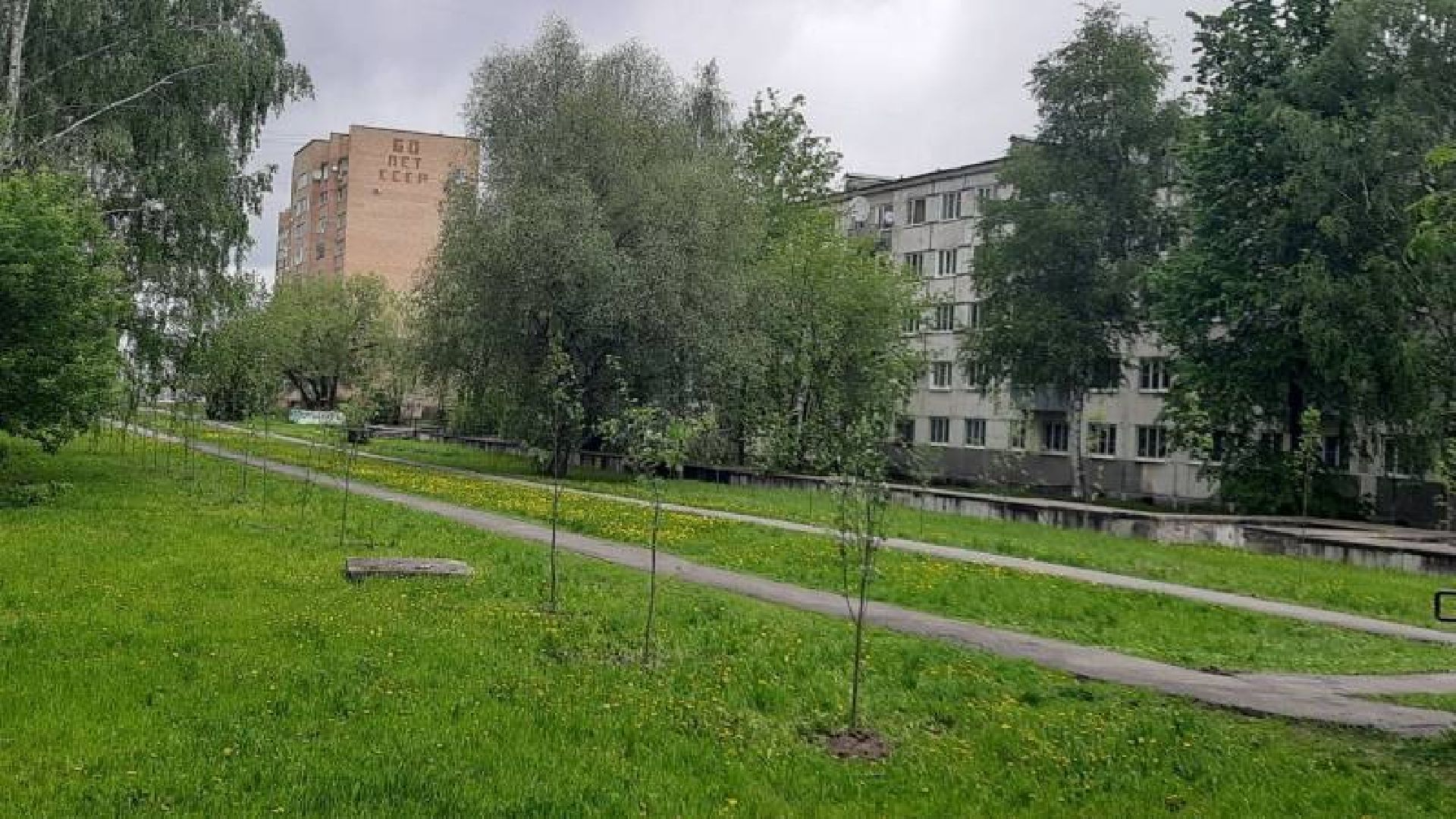 благоустройство 2025, клумба, шатура, мбу сдх шатура,
