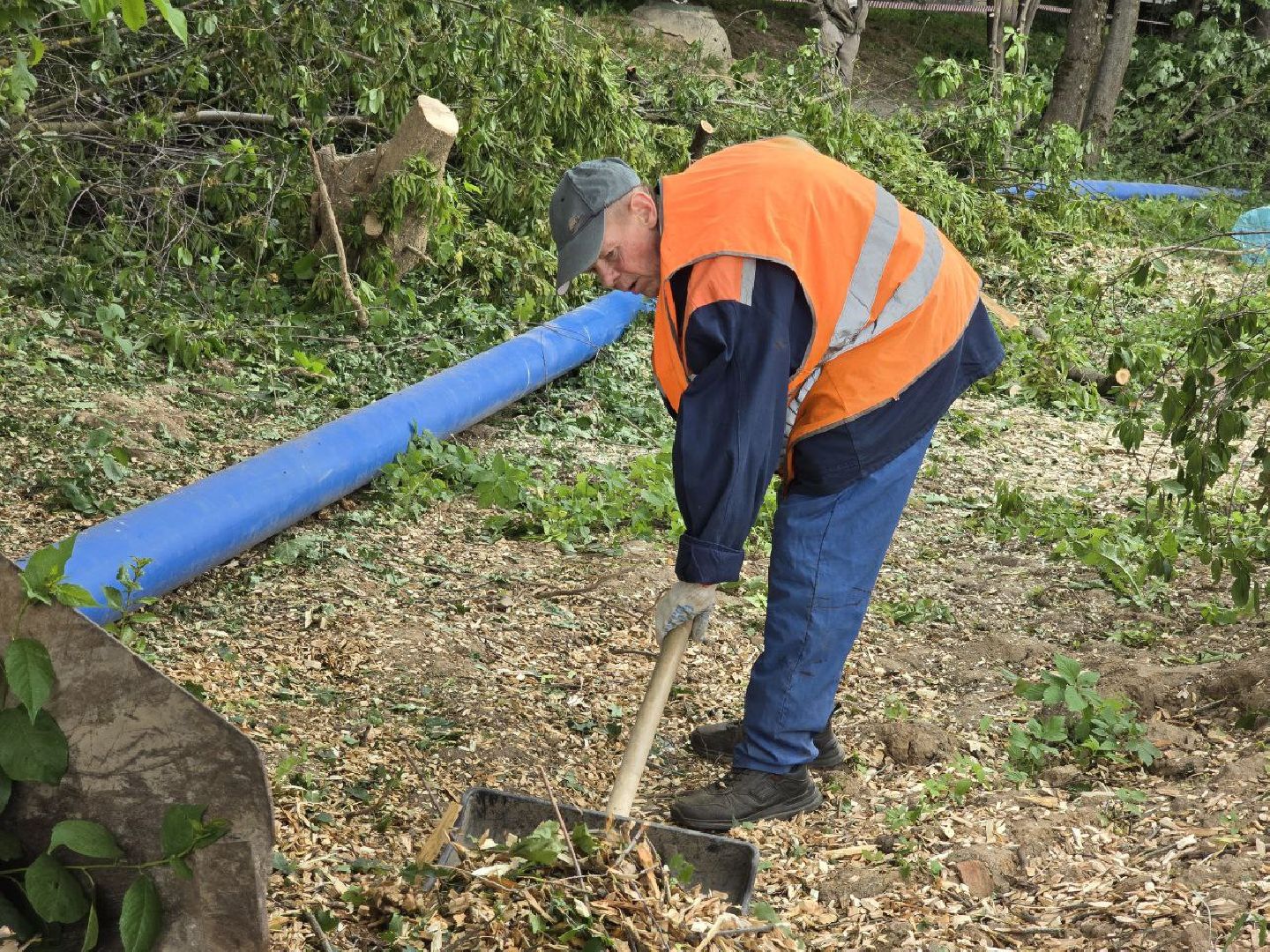 можайск, можайский муниципальный округ, подмосковье, добродел, обращения граждан, благоустройство,