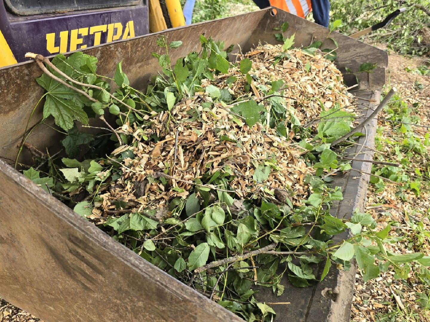 можайск, можайский муниципальный округ, подмосковье, добродел, обращения граждан, благоустройство,