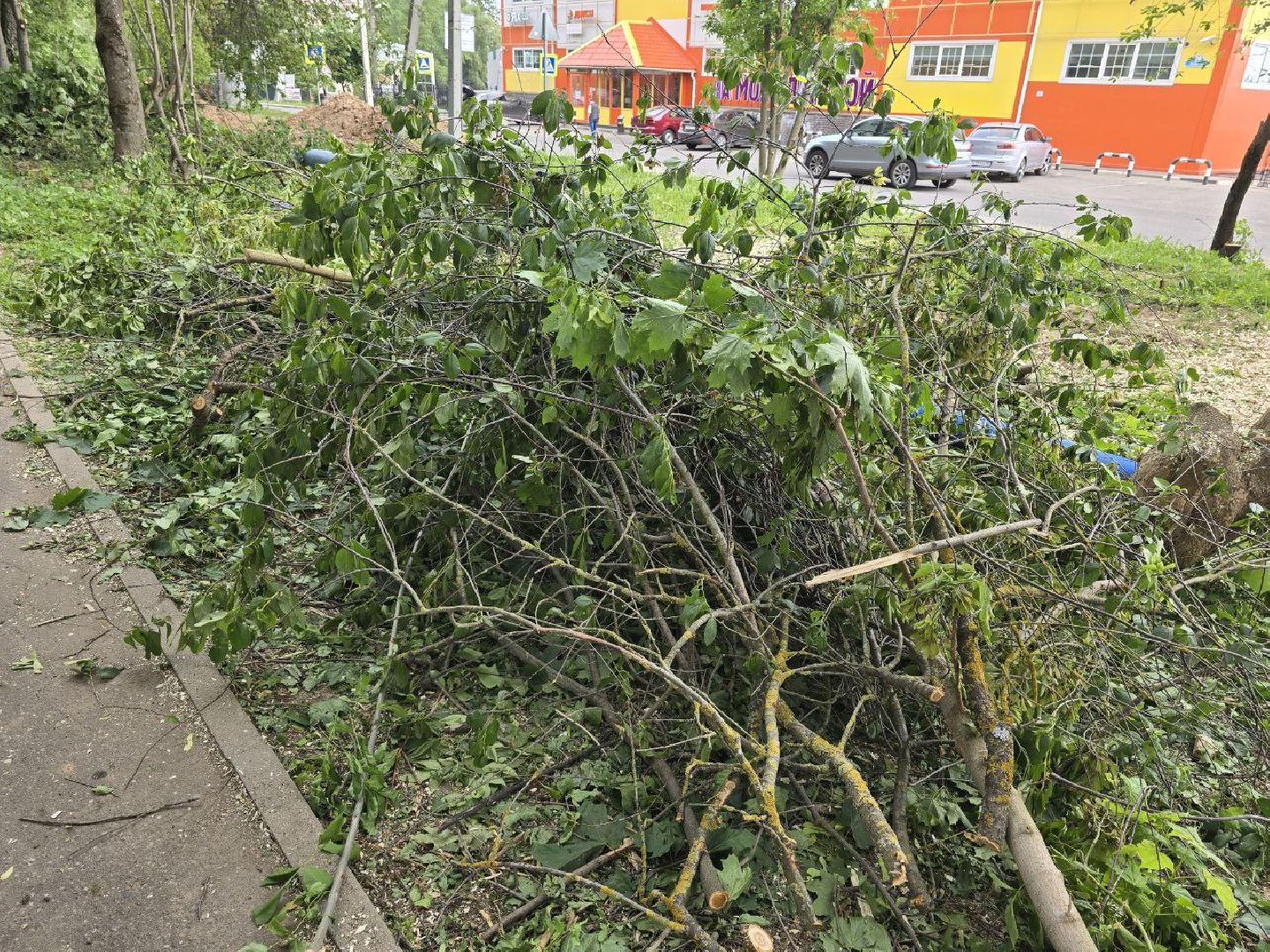 можайск, можайский муниципальный округ, подмосковье, добродел, обращения граждан, благоустройство,