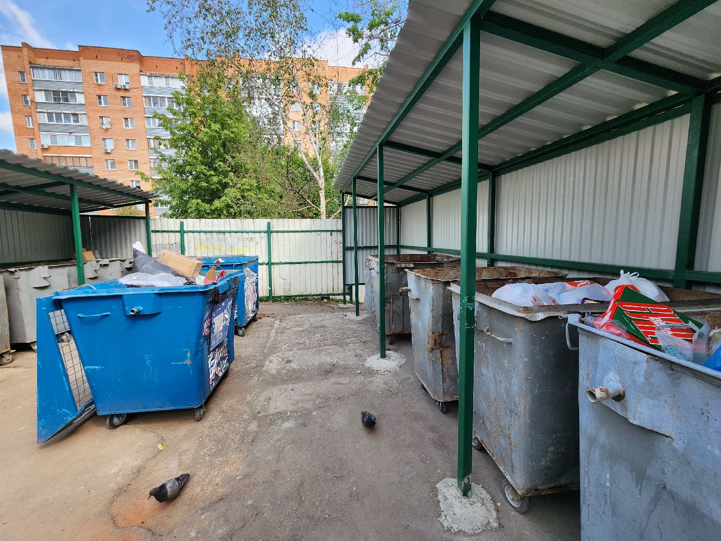 чехов, улица чехова, контейнерная площадка, капитальный ремонт, новое ограждение, крыша, бункер для КГО, дополнительные баки, вывоз мусора, твердое покрытие, крупногабаритные отходы, капремонт,