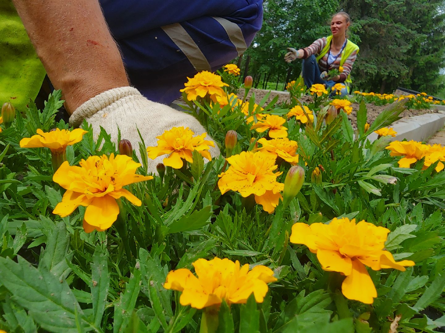 наро-фоминск, наро-фоминский городской округ, летние клумбы, благоустройство мемориала,