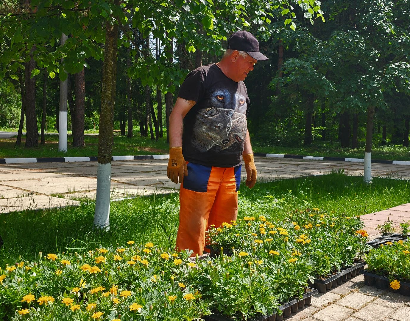 наро-фоминск, наро-фоминский городской округ, летние клумбы, благоустройство мемориала,