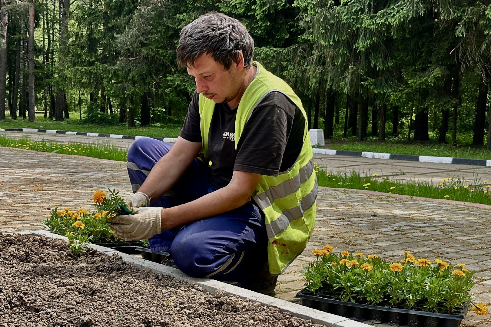 наро-фоминск, наро-фоминский городской округ, летние клумбы, благоустройство мемориала,