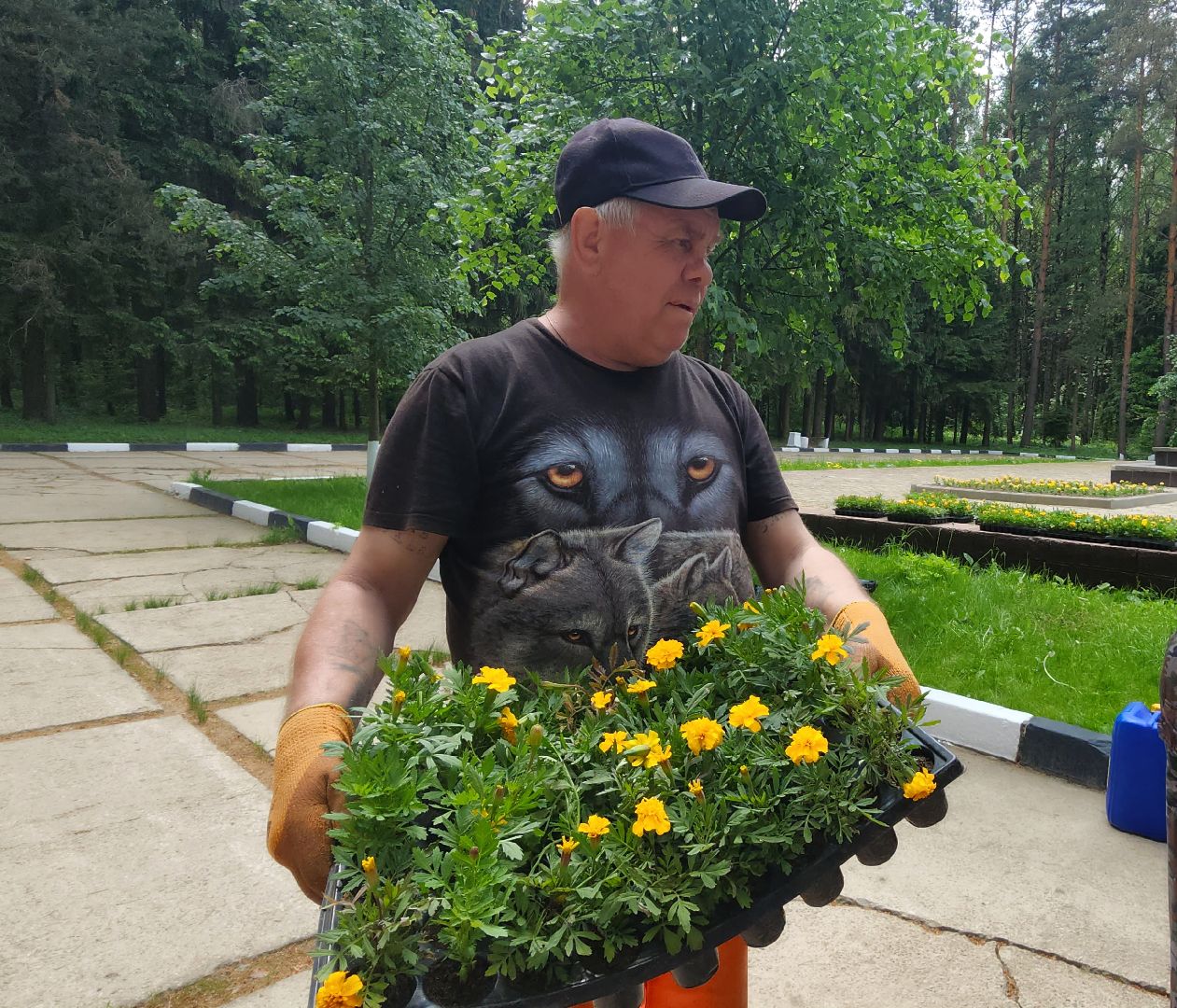 наро-фоминск, наро-фоминский городской округ, летние клумбы, благоустройство мемориала,