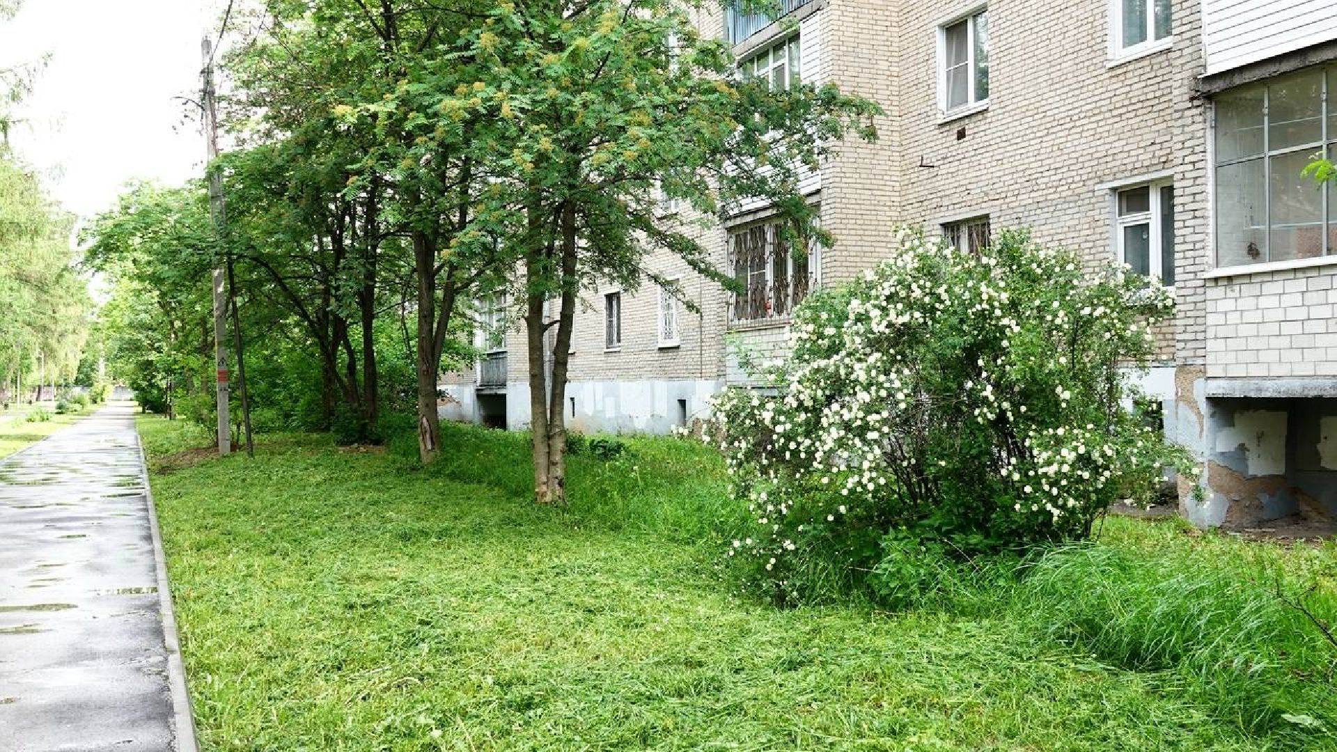 благоустройство , сергиев посад ,  сергиево-посадский городской округ, развитие территорий ,
