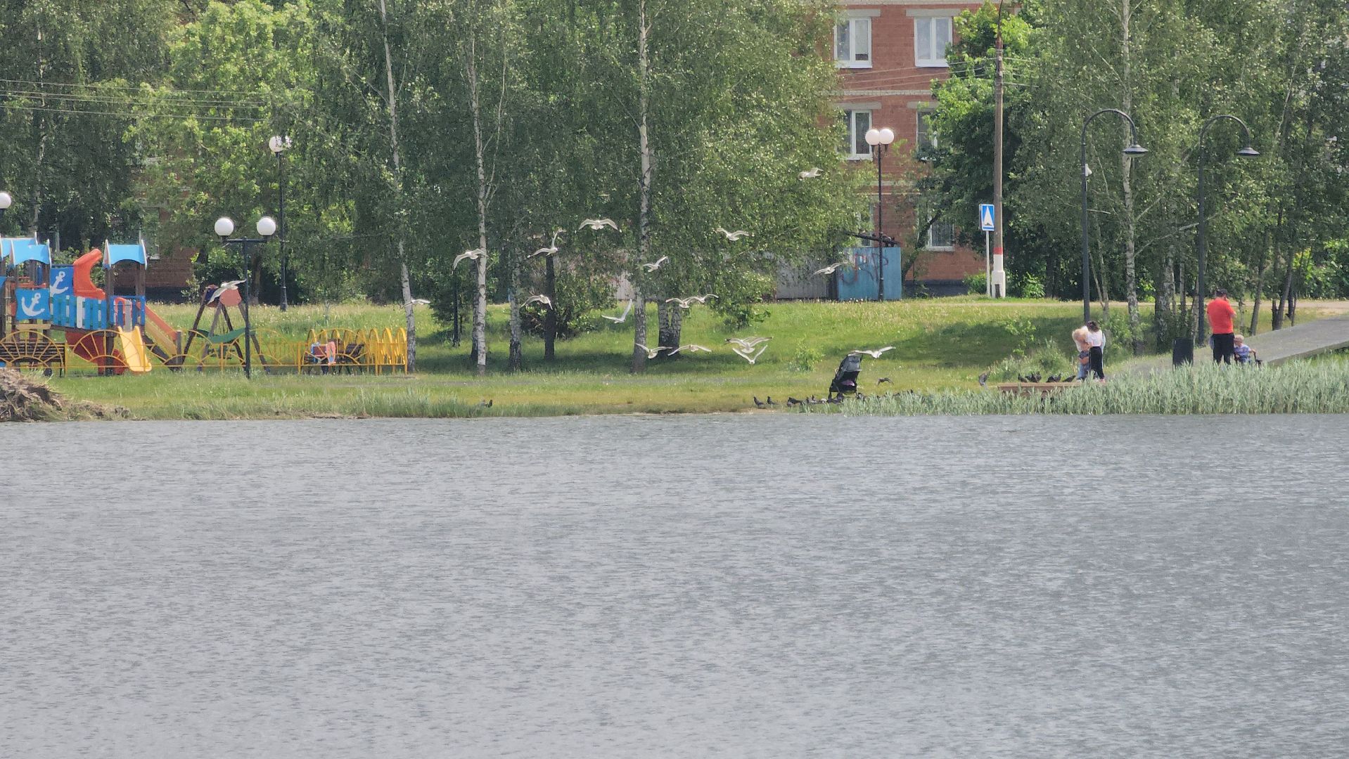Электрогорск , Благоустройство , Озеро,