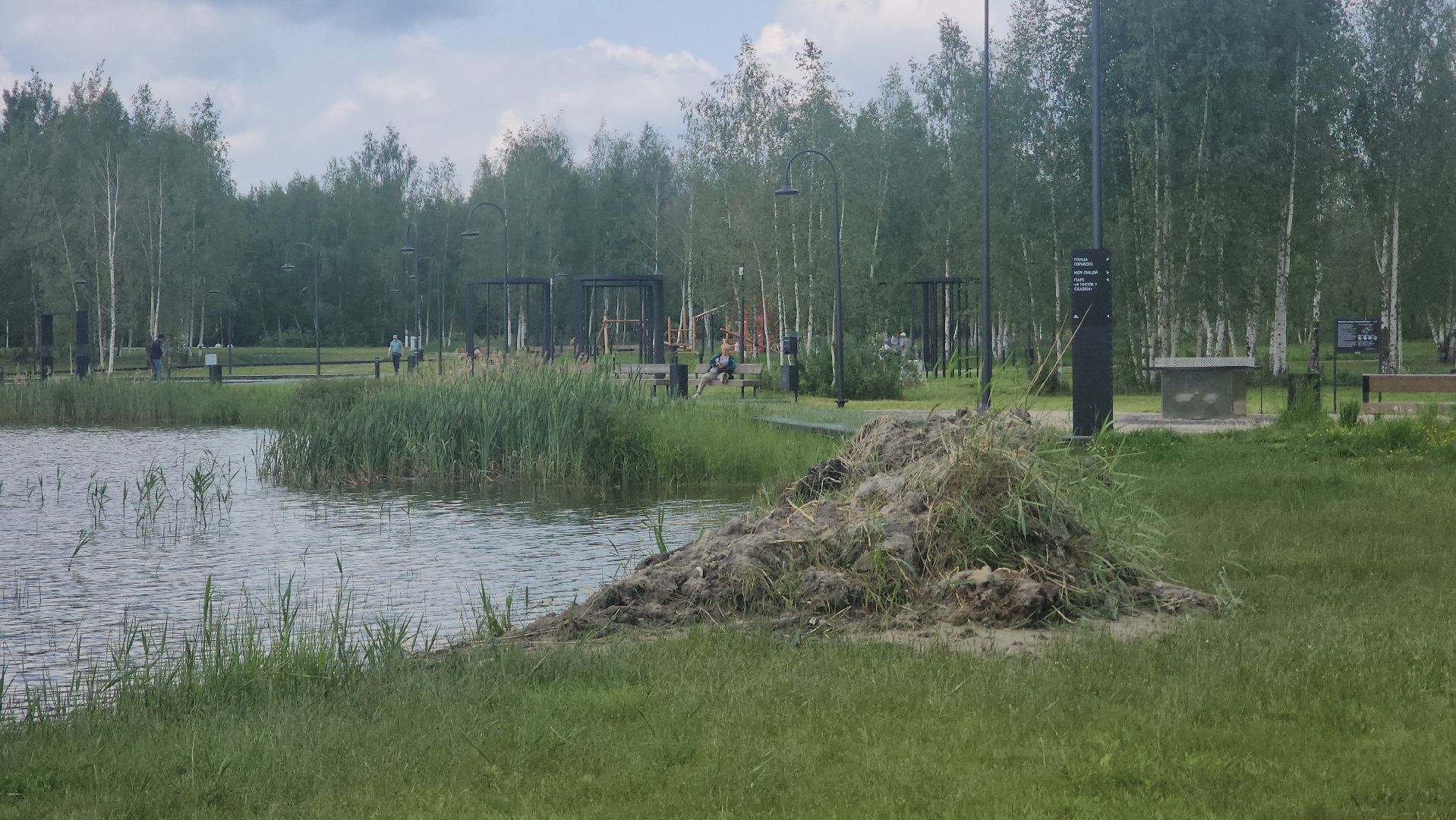 Электрогорск , Благоустройство , Озеро,