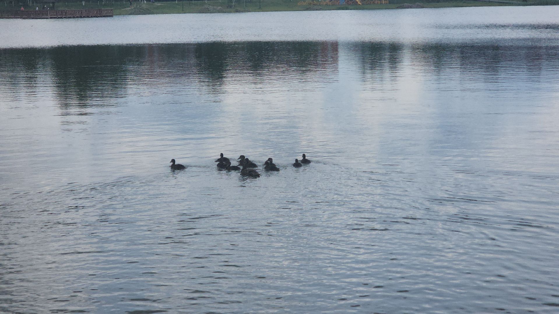 Электрогорск , Благоустройство , Озеро,