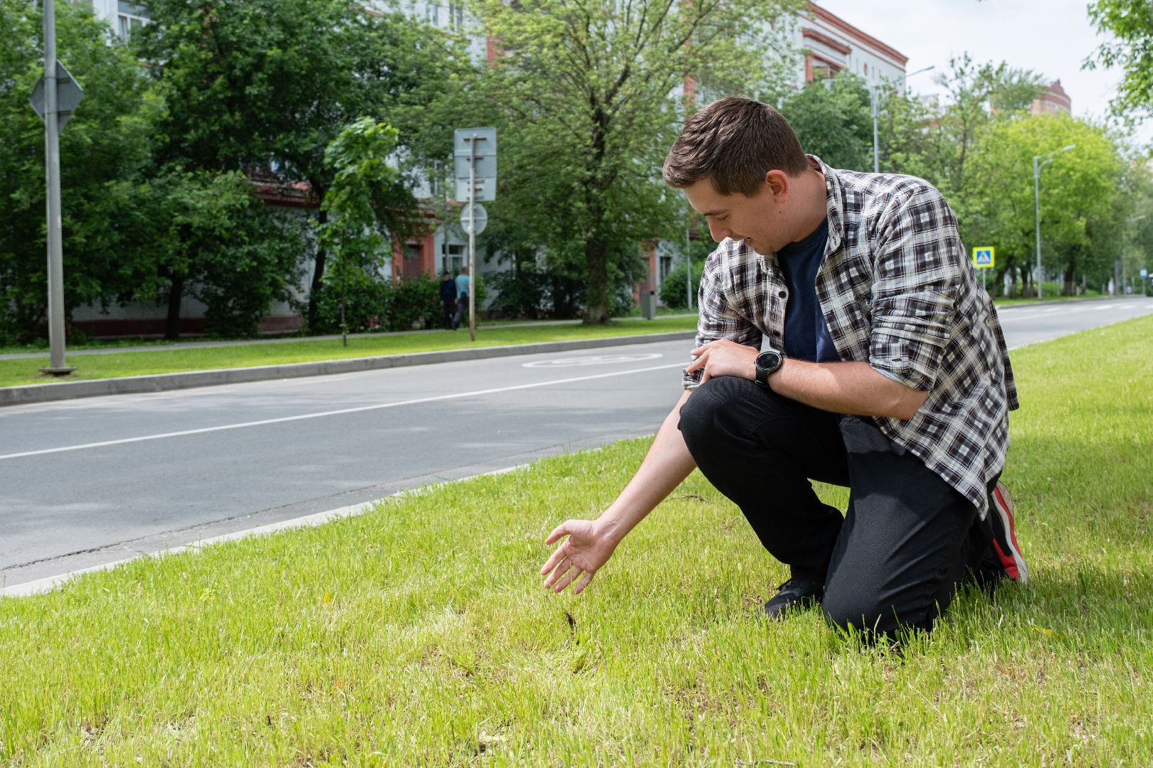 лыткарино, благоустрйоство, газон,