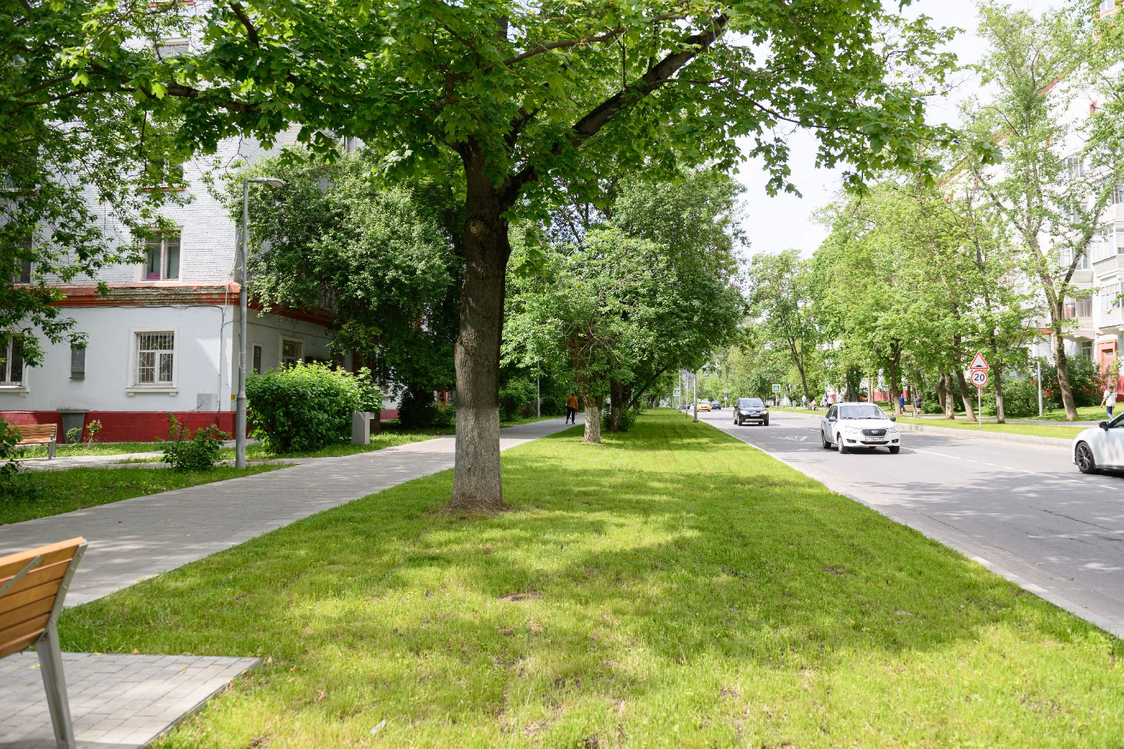лыткарино, благоустрйоство, газон,