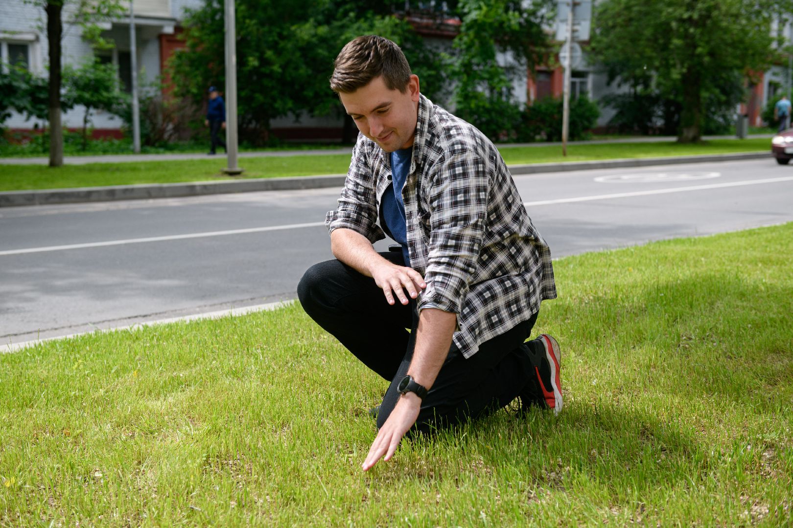 лыткарино, благоустрйоство, газон,