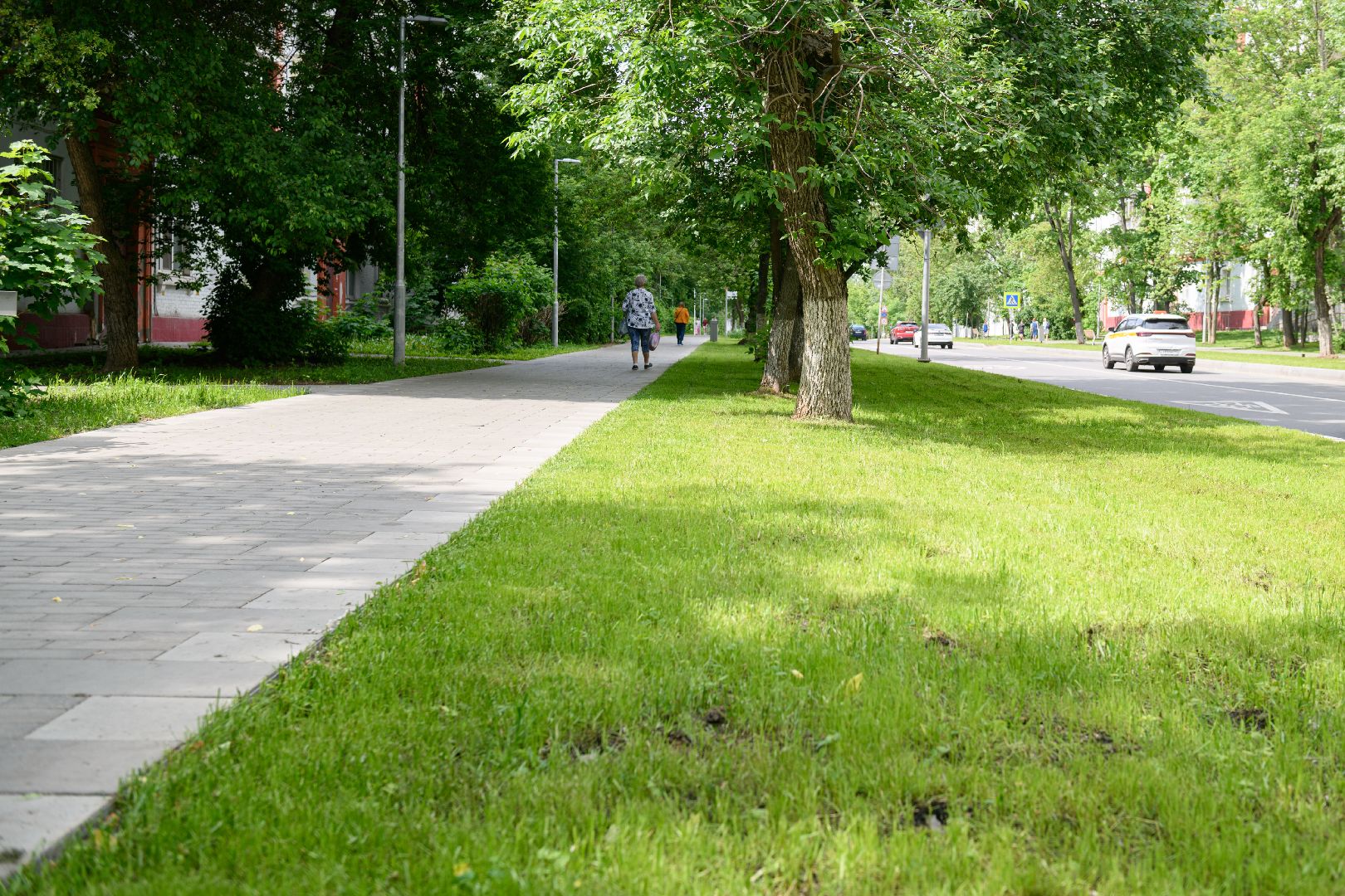 лыткарино, благоустрйоство, газон,