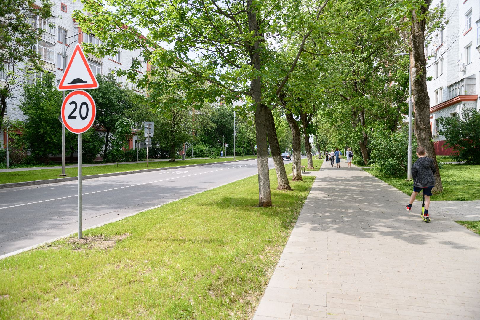лыткарино, благоустрйоство, газон,