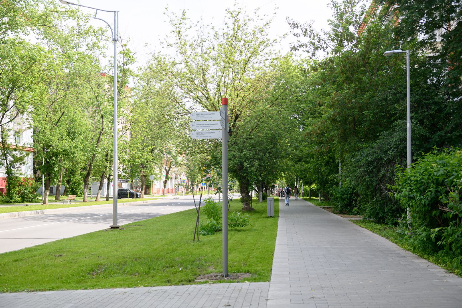 лыткарино, благоустрйоство, газон,