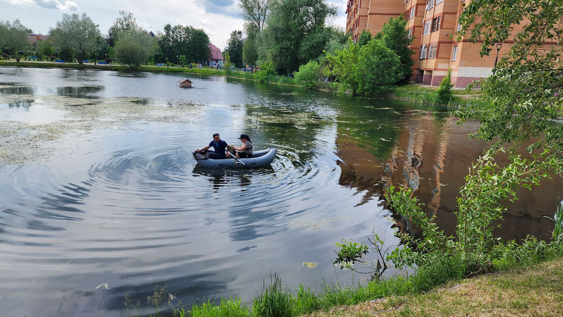 истра, благоустройство, очистка водоема,