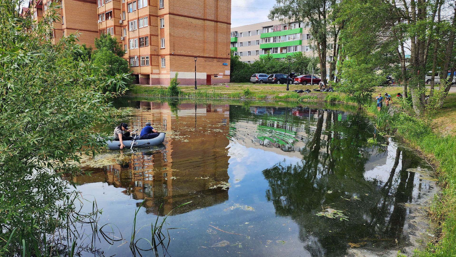 истра, благоустройство, очистка водоема,