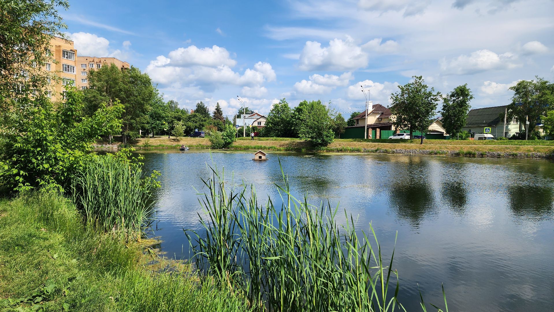 истра, благоустройство, очистка водоема,