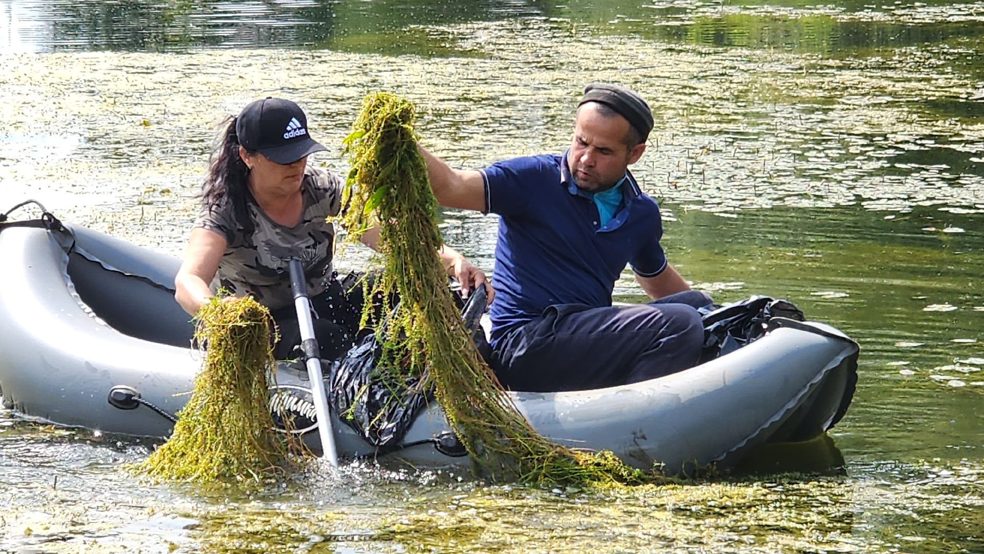 истра, благоустройство, очистка водоема,