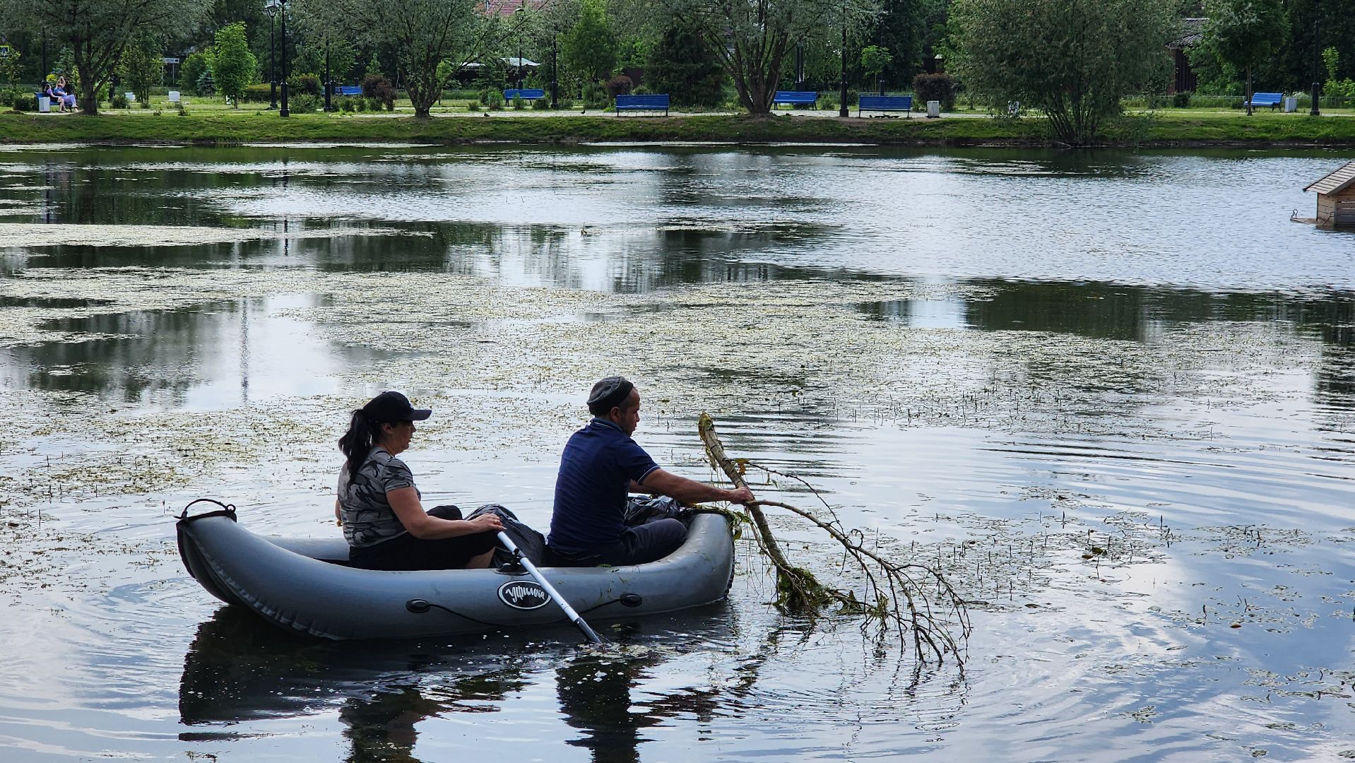 истра, благоустройство, очистка водоема,