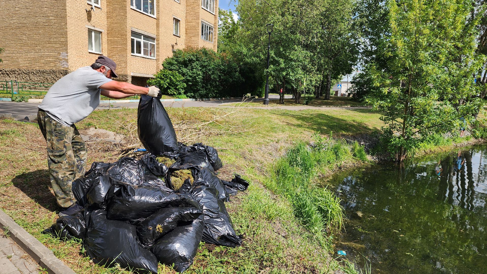 истра, благоустройство, очистка водоема,