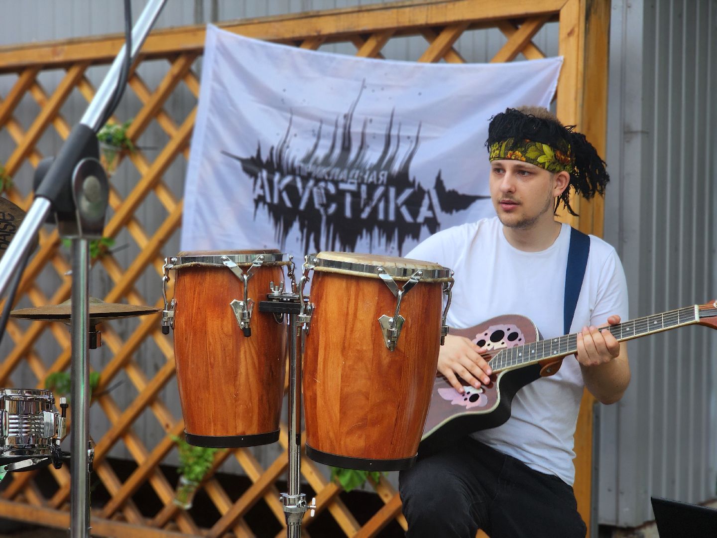 дубна, прикладная акустика, блохинка, фестиваль, рок-группа, ниипа, университет дубна,