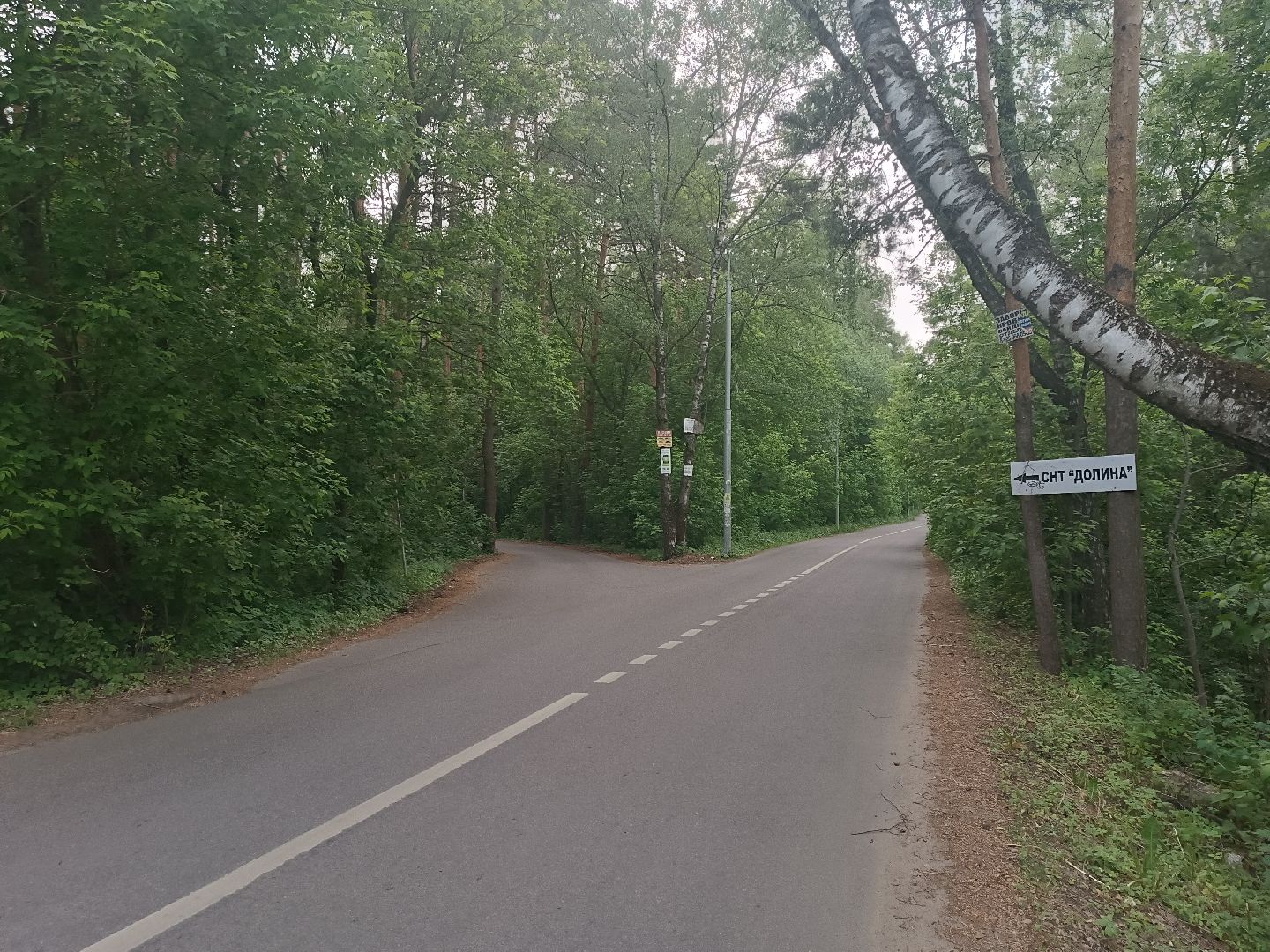 люберцы, глава, выездная администиация, островцы, решение проблем,