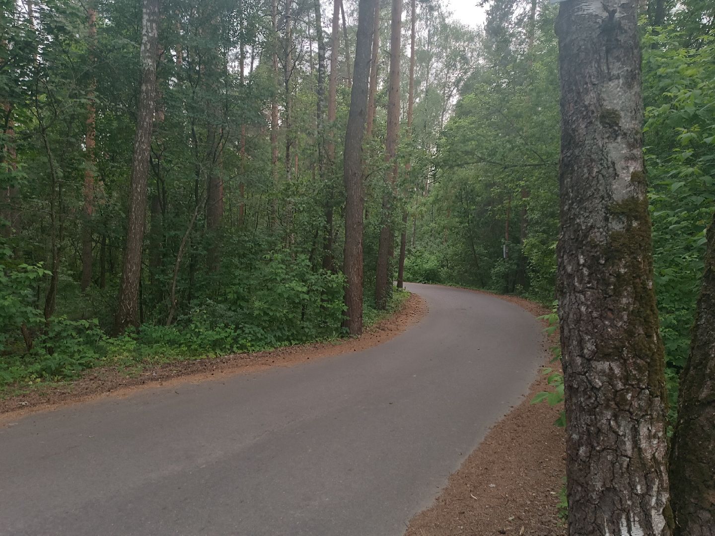 люберцы, глава, выездная администиация, островцы, решение проблем,