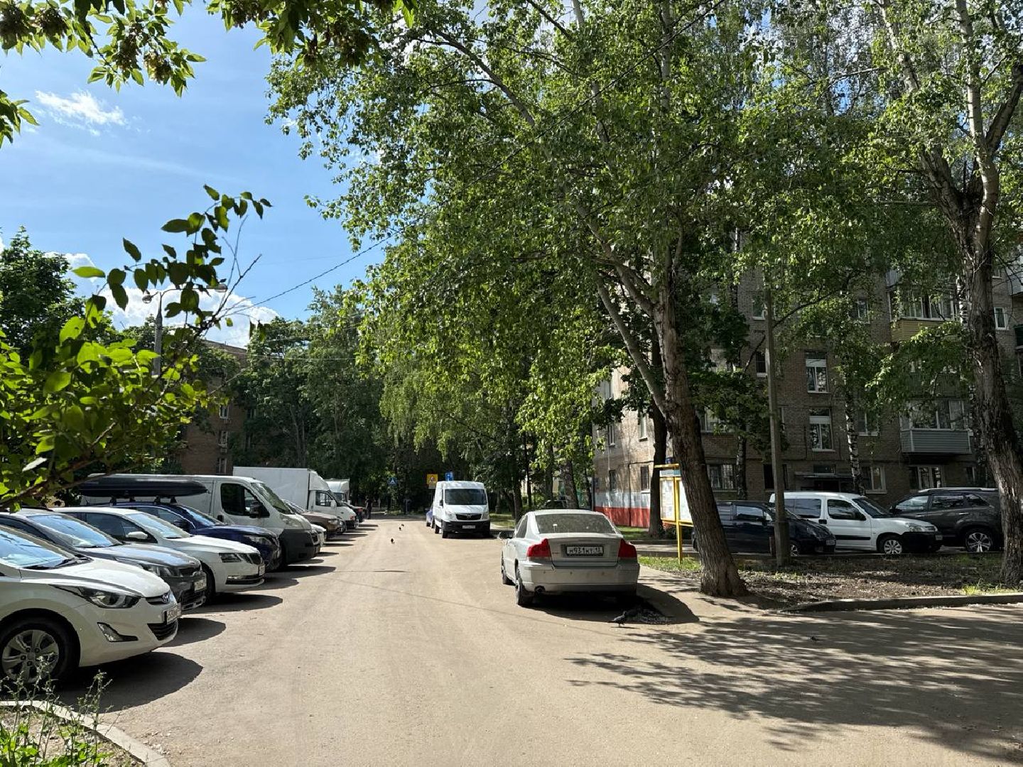 реутов, тополиный пух, аллергия, аллергия под контролем,