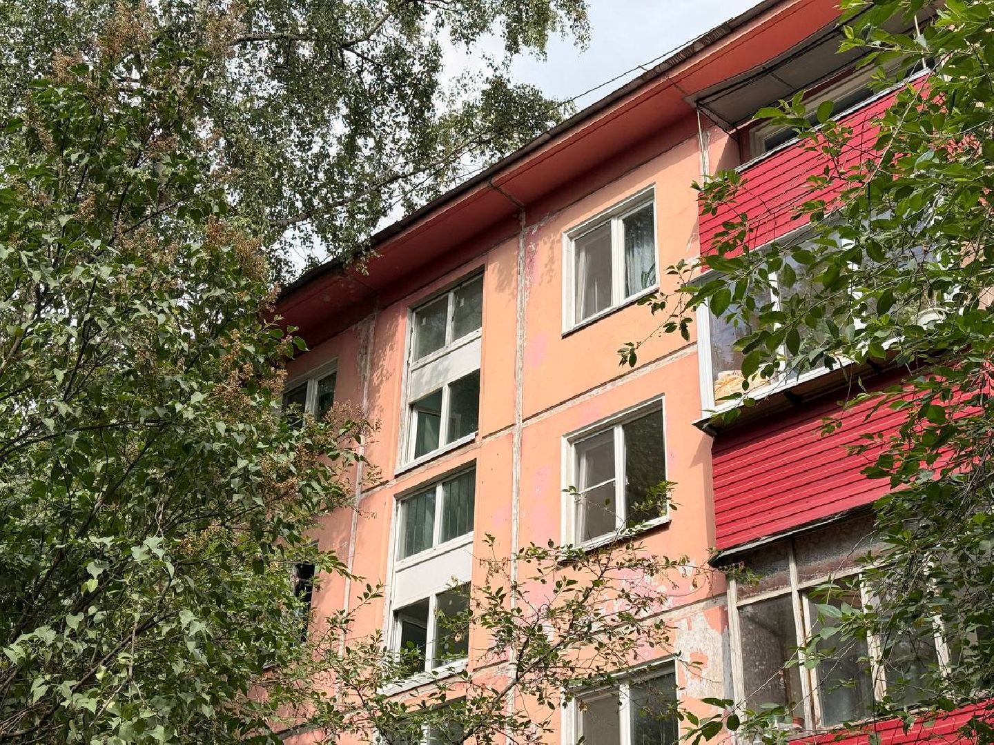 реутов, тополиный пух, аллергия, аллергия под контролем,