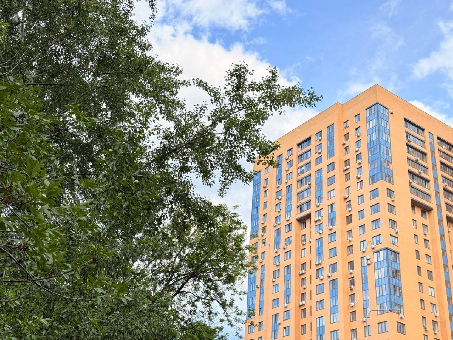 реутов, тополиный пух, аллергия, аллергия под контролем,