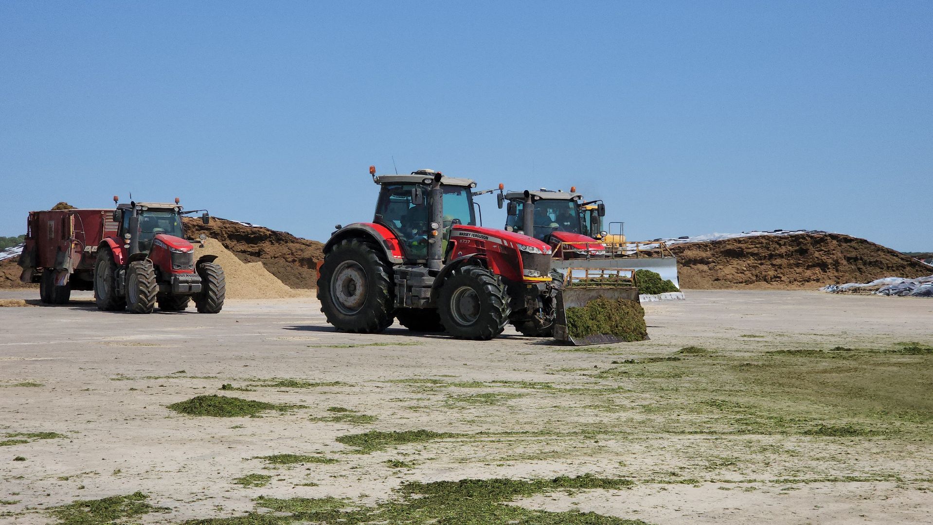 ступино, сельское хозяйство, заготовка кормов,