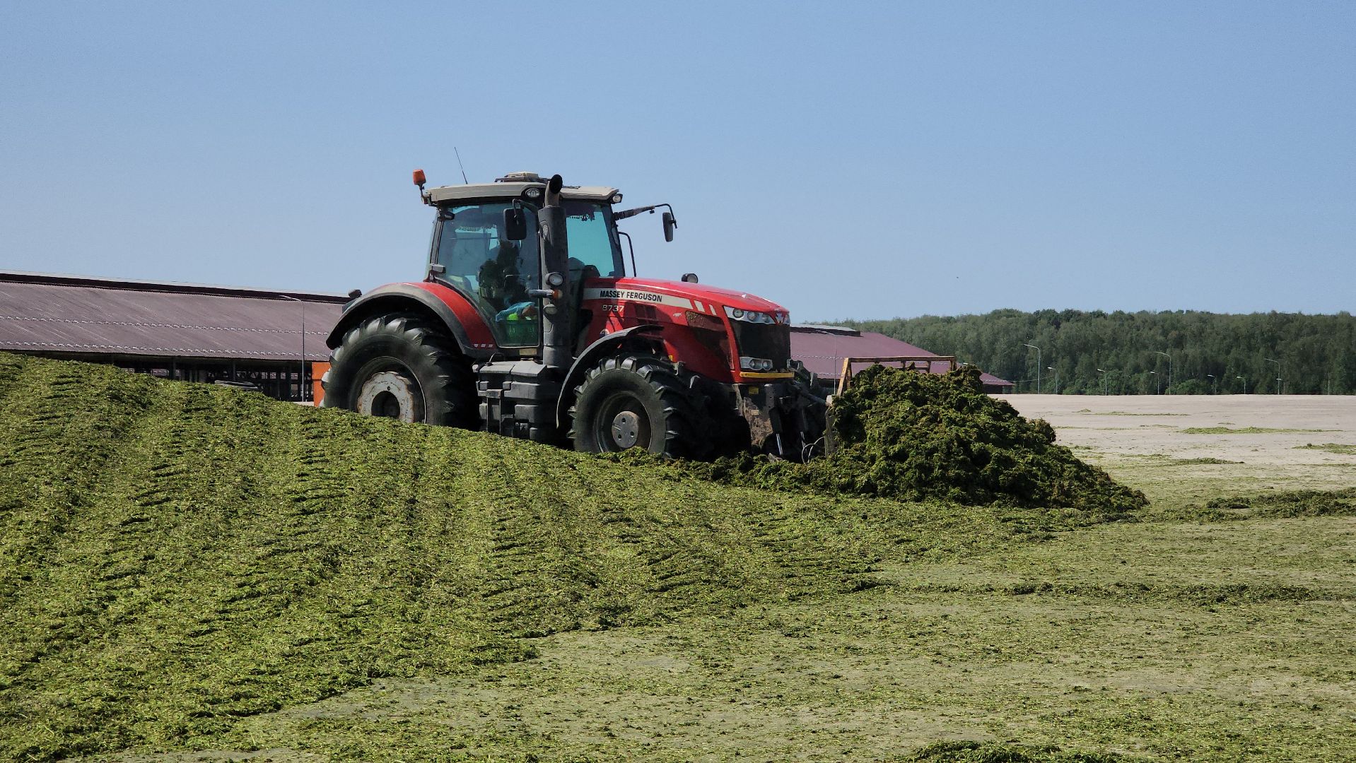 ступино, сельское хозяйство, заготовка кормов,