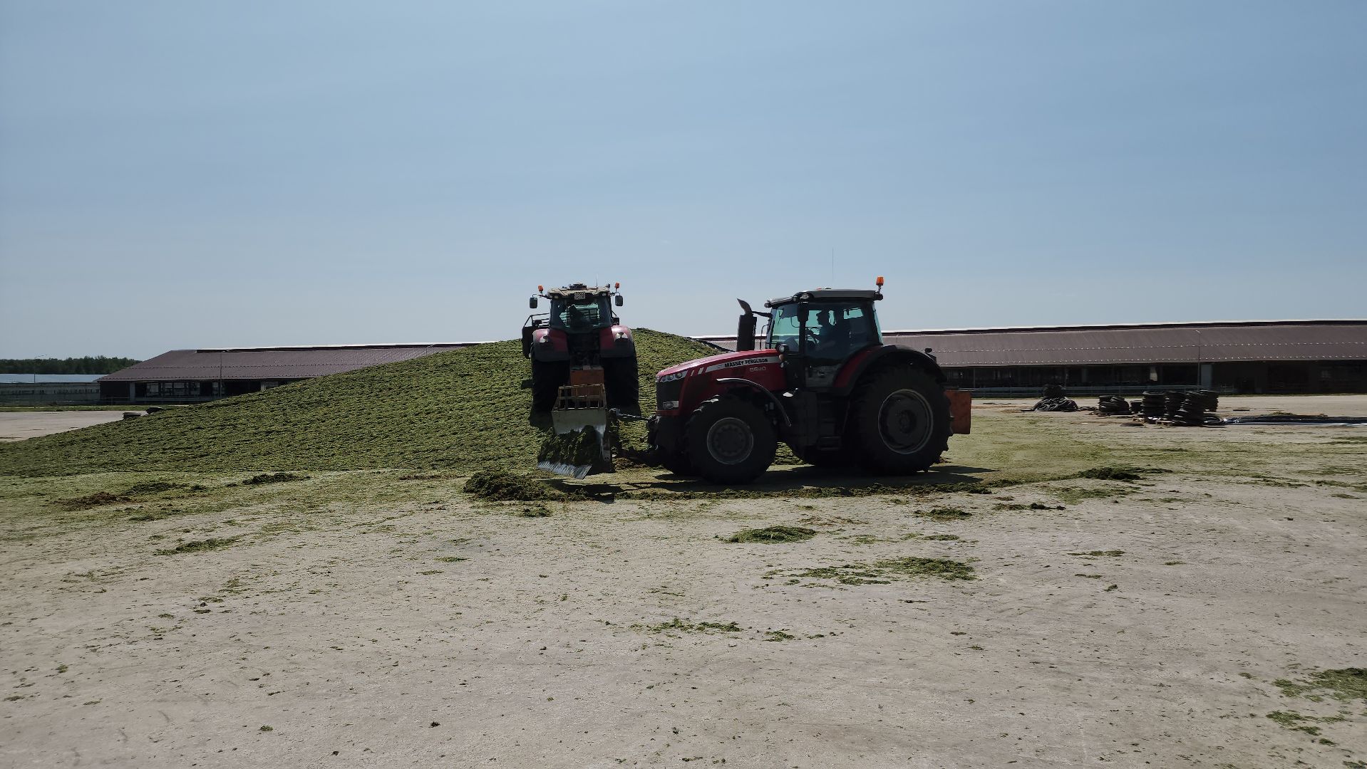 ступино, сельское хозяйство, заготовка кормов,