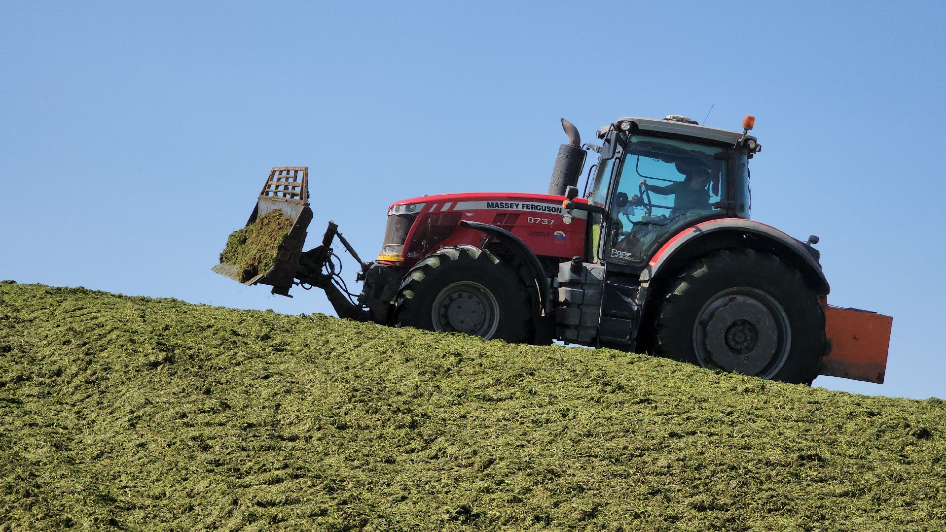 ступино, сельское хозяйство, заготовка кормов,