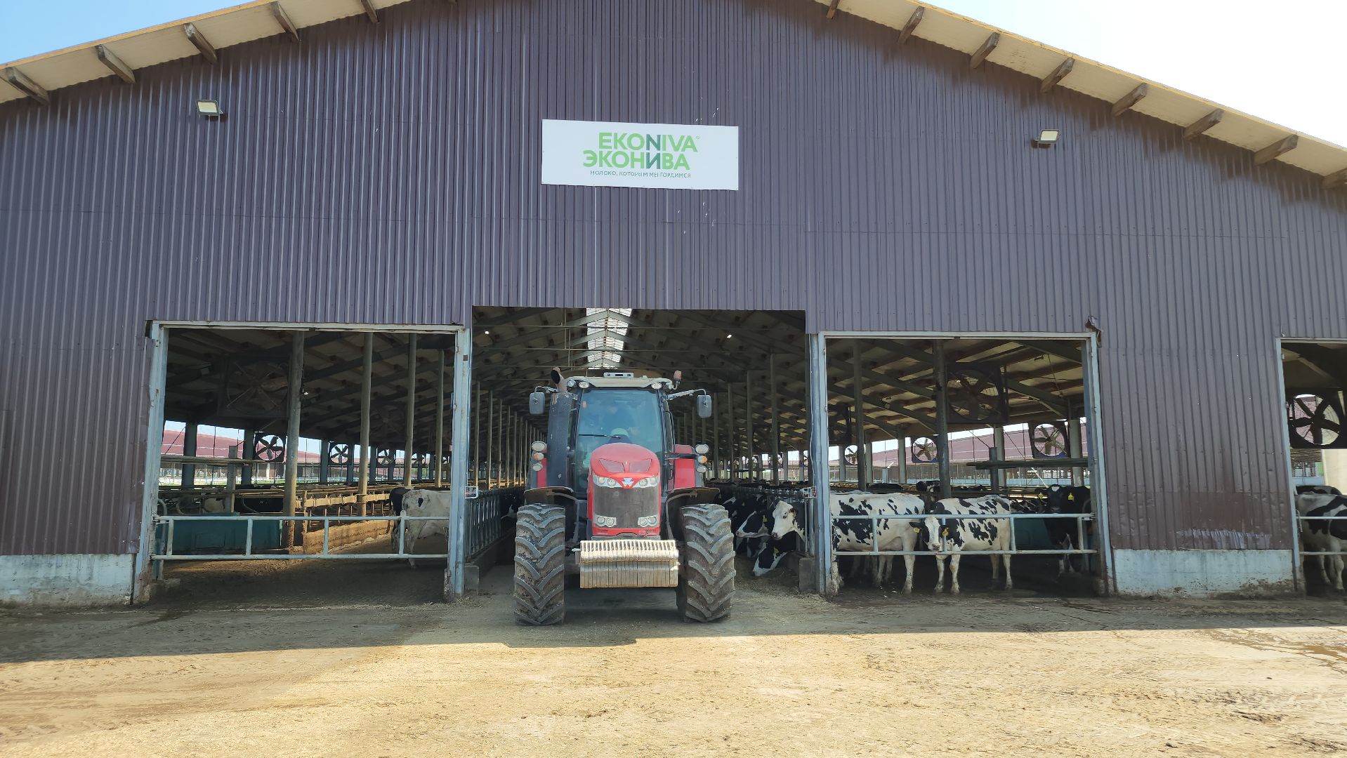 ступино, сельское хозяйство, заготовка кормов,