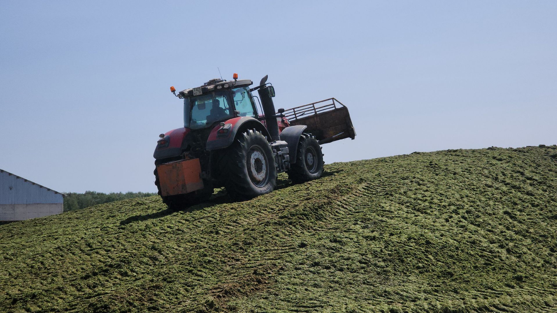 ступино, сельское хозяйство, заготовка кормов,