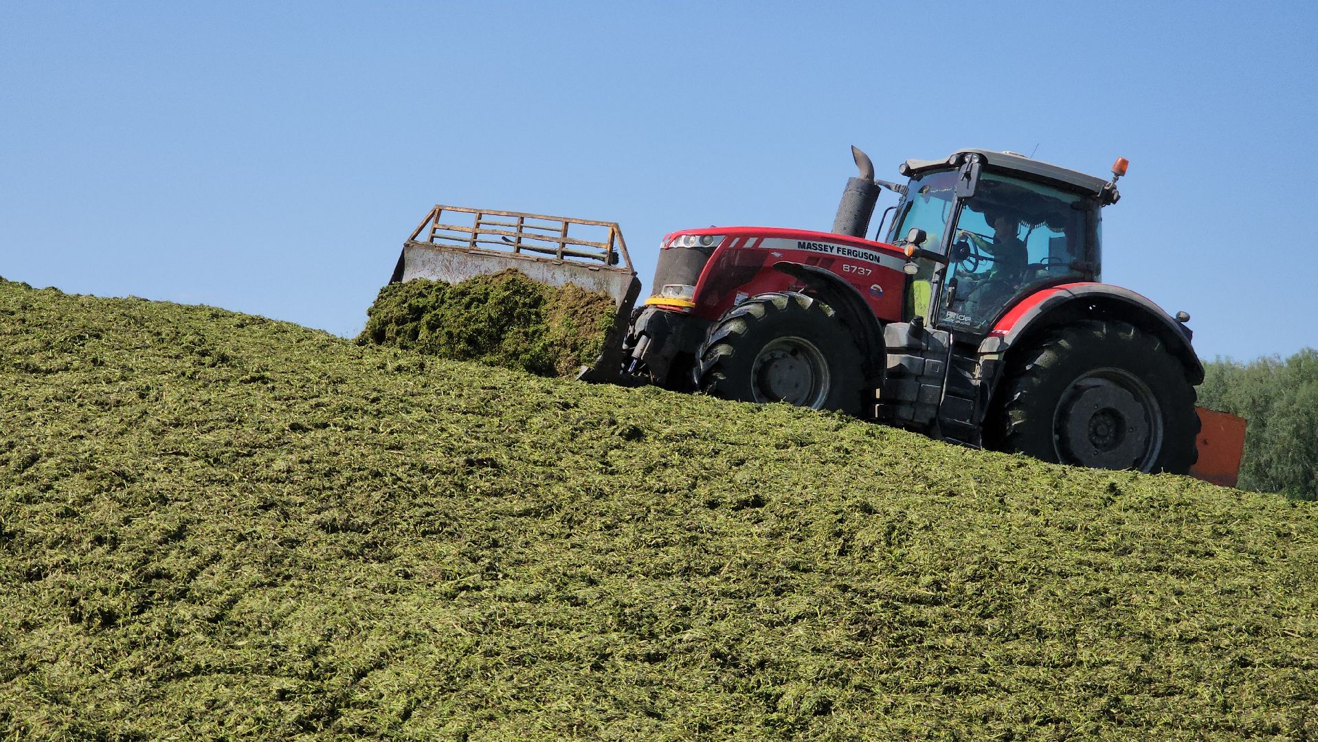 ступино, сельское хозяйство, заготовка кормов,