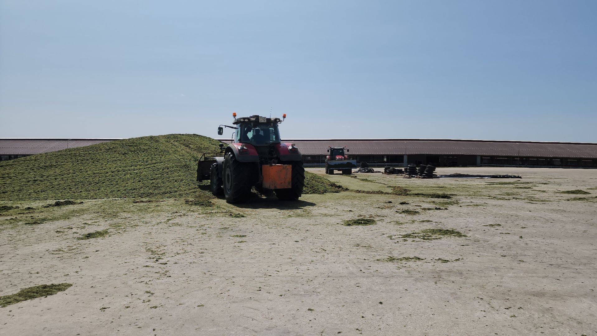 ступино, сельское хозяйство, заготовка кормов,