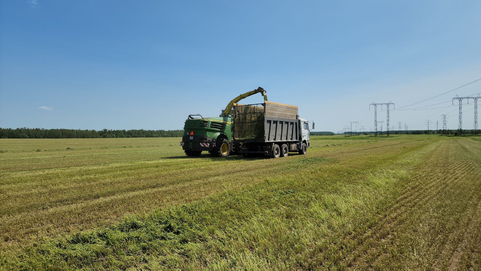 ступино, сельское хозяйство, заготовка кормов,
