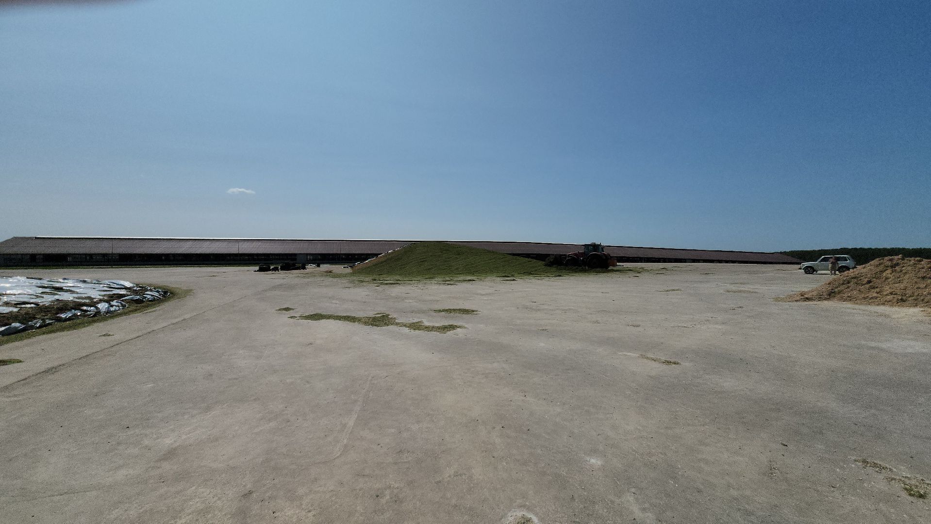 ступино, сельское хозяйство, заготовка кормов,