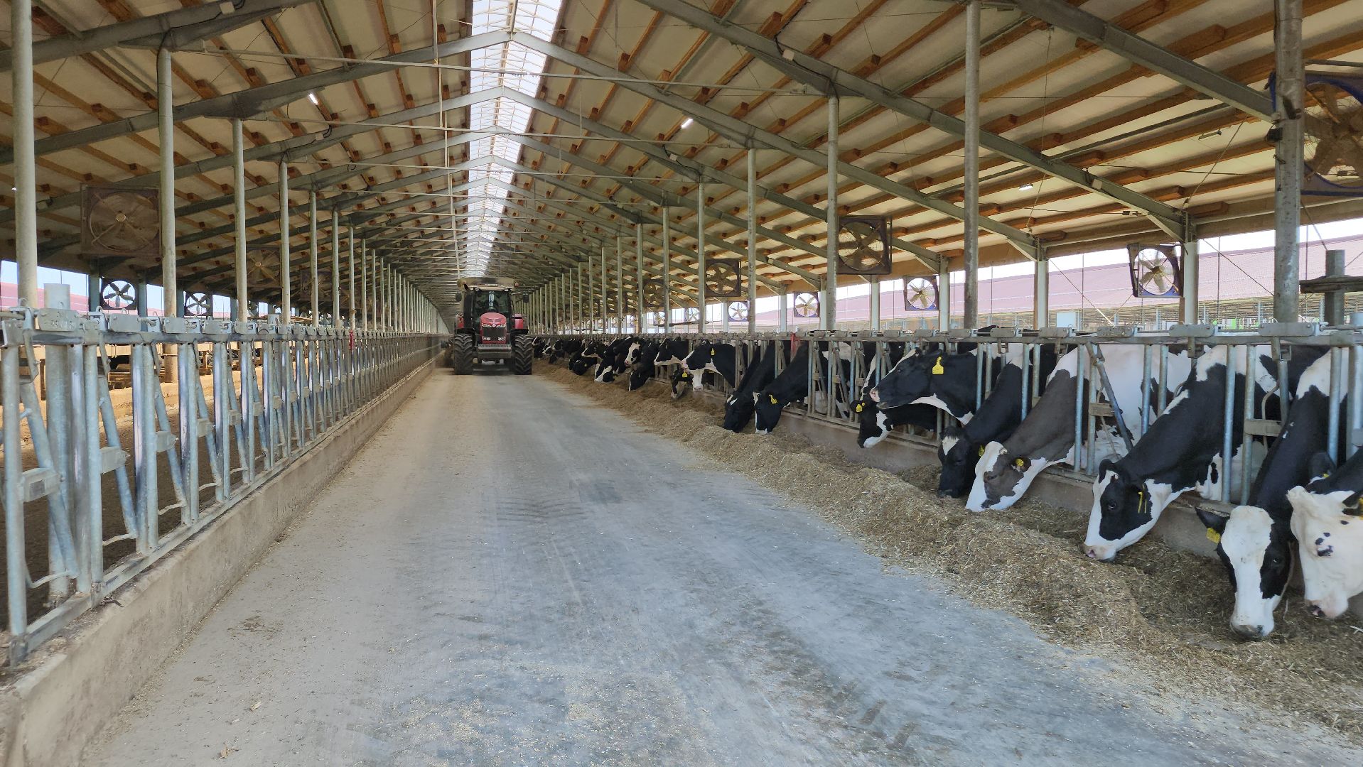 ступино, сельское хозяйство, заготовка кормов,