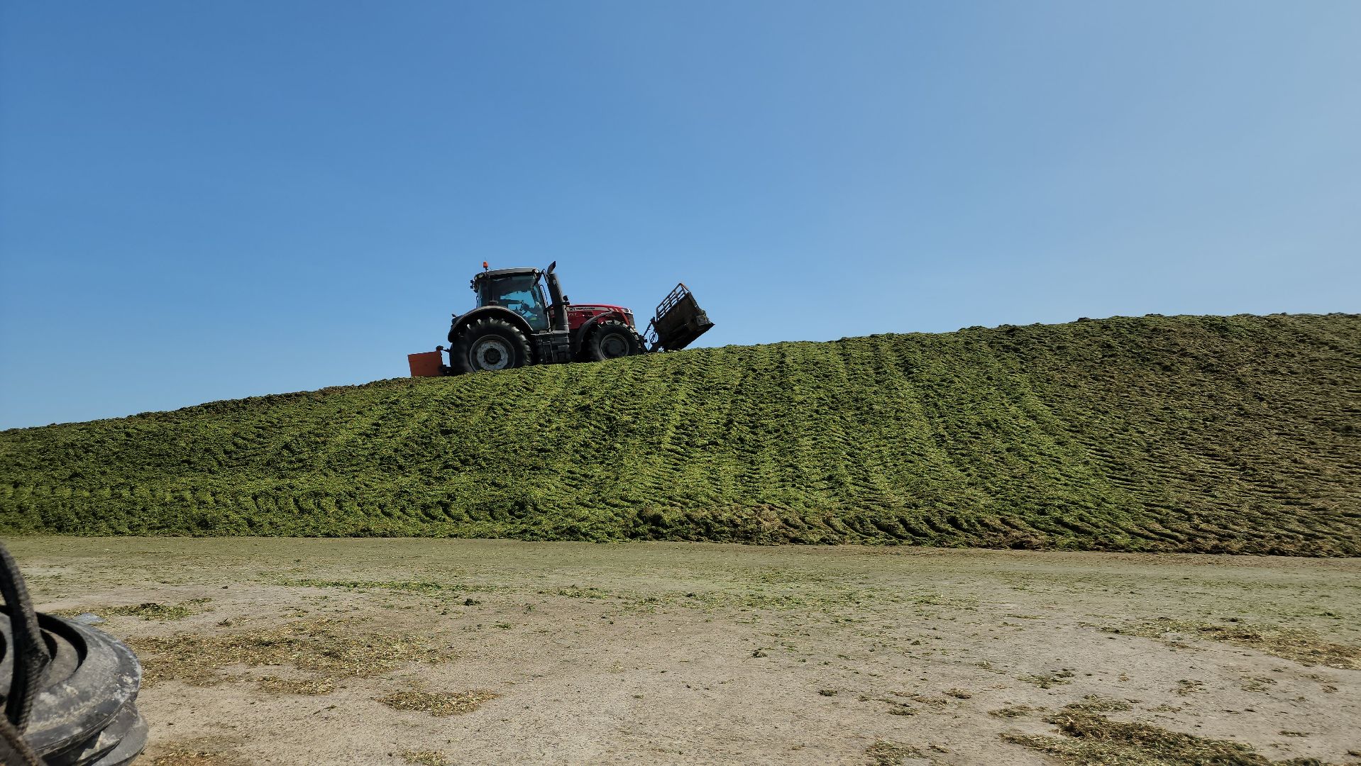 ступино, сельское хозяйство, заготовка кормов,