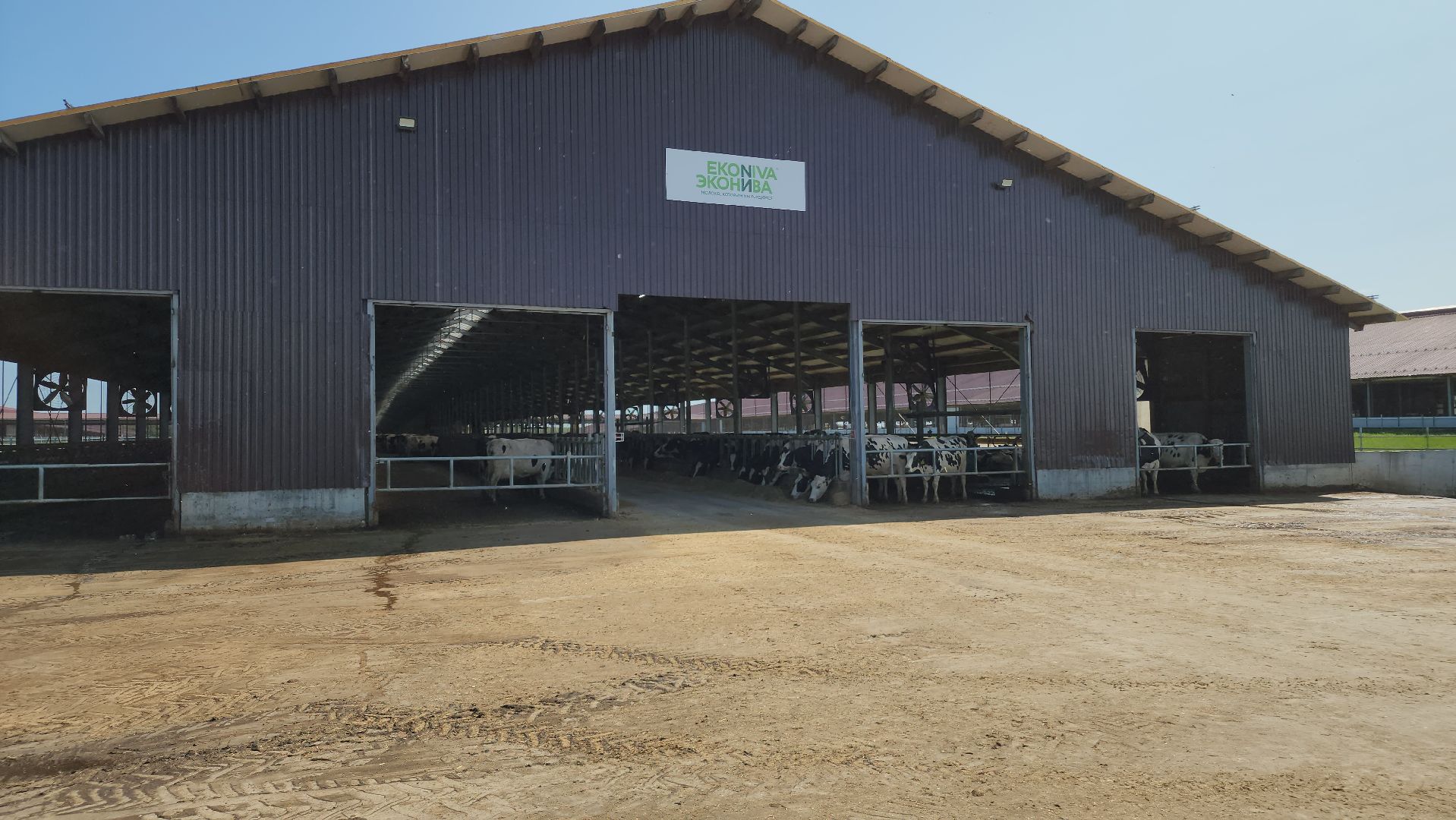 ступино, сельское хозяйство, заготовка кормов,