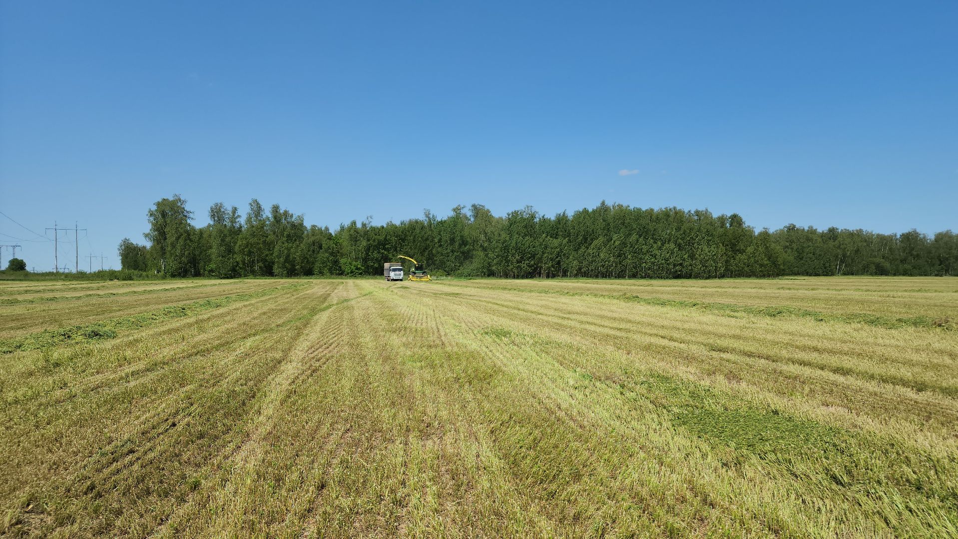 ступино, сельское хозяйство, заготовка кормов,